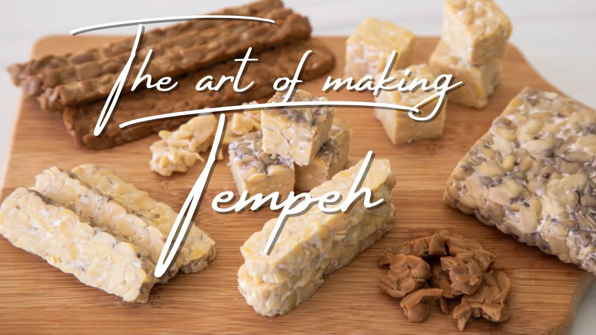 The Art of making TEMPEH 