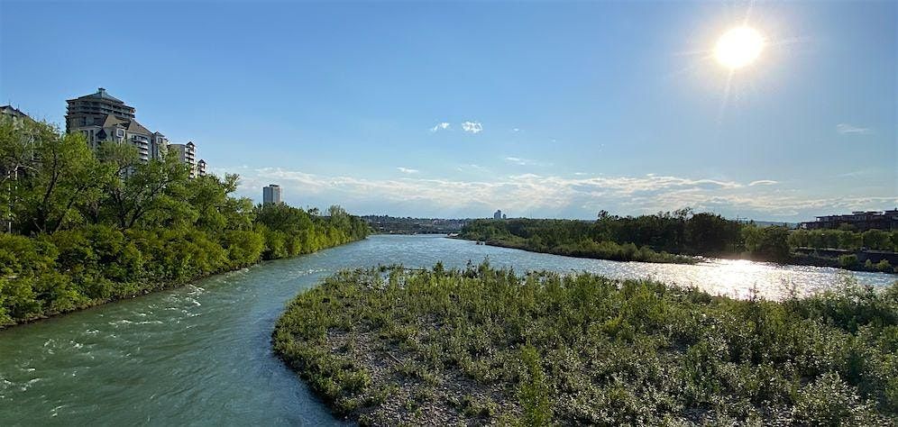 Grow the Bow - A Morning of Ecosystem Restoration - Aug 9