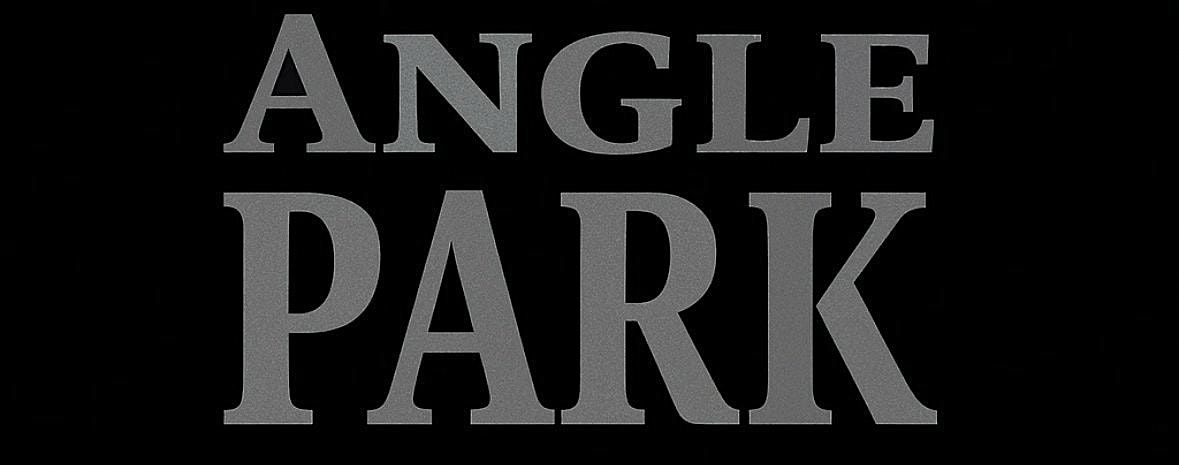 Angle Park - a tribute to Big Country - Live @ The Bot!