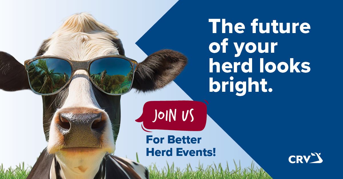 Better Herd Event - Lepperton