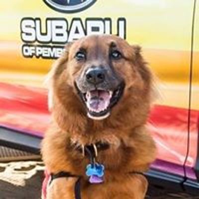 Subaru of Pembroke Pines