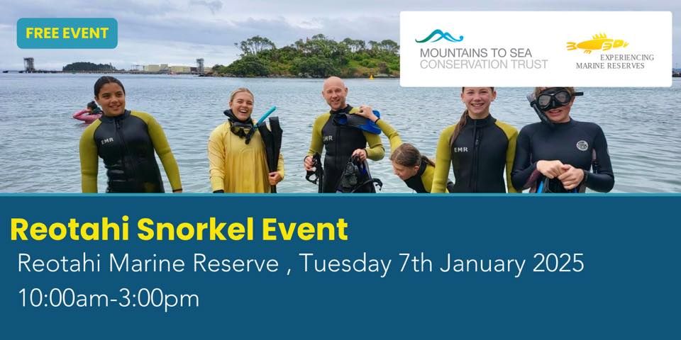 Reotahi Snorkel Day