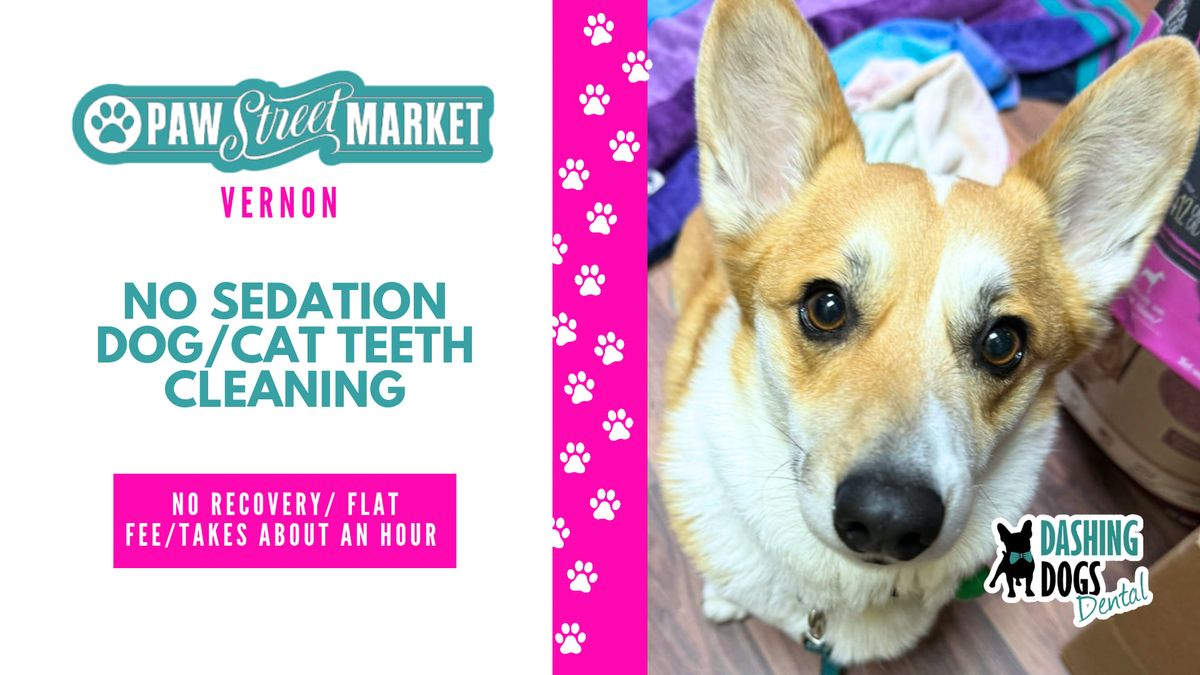 Dog\/Cat Teeth Cleaning - Vernon