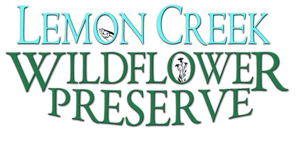 Exploration Day at Lemon Creek Wildflower Preserve