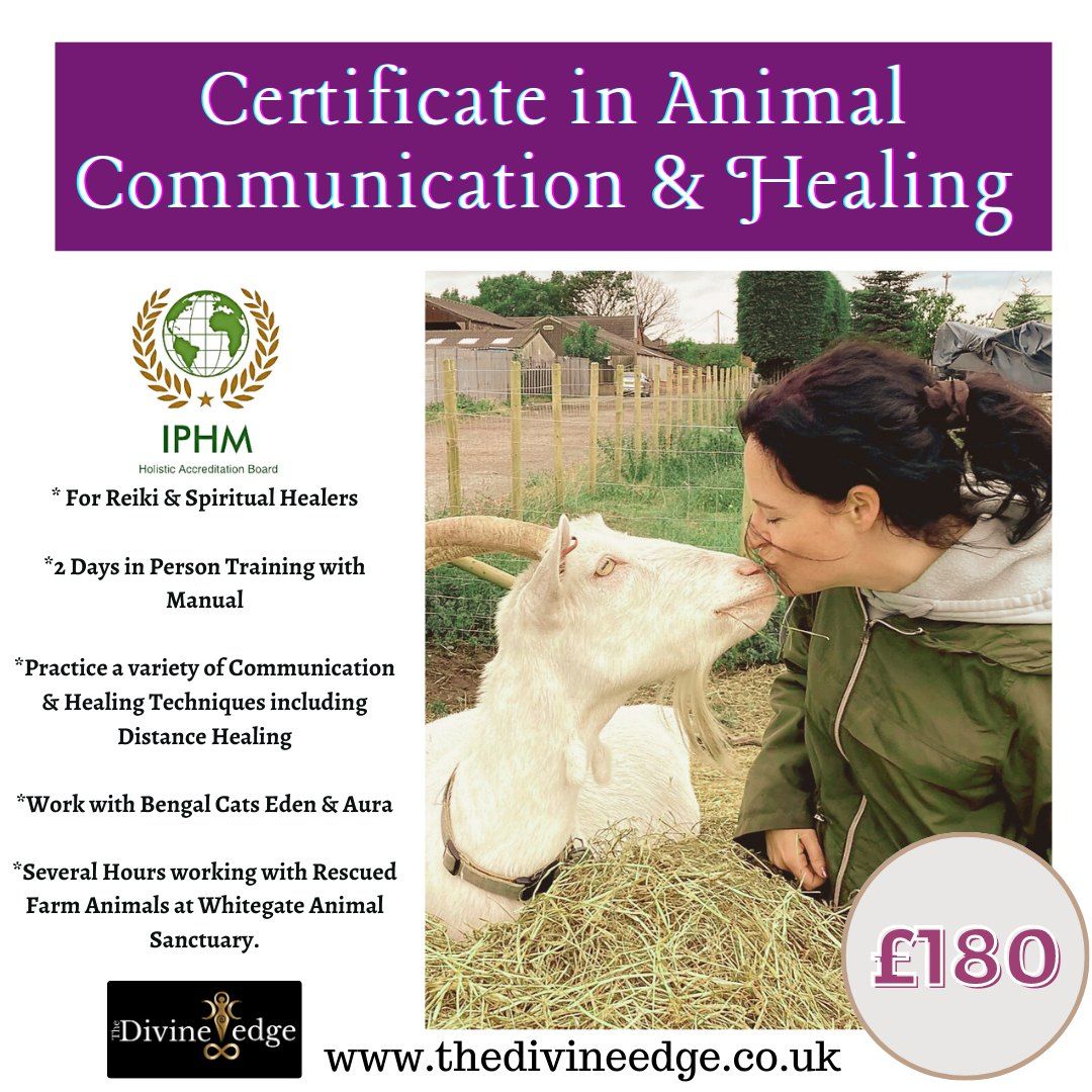 Animal Communication and Healing Certificate