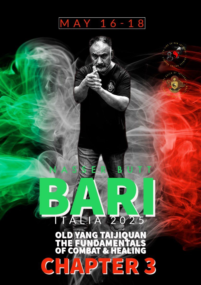 Bari, Italia 2025: Old Yang Taijiquan - The Fundamentals of Combat & Healing Chapter 3