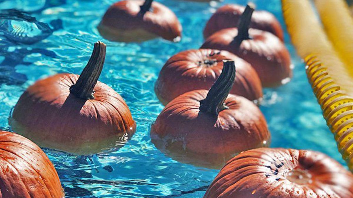 The Great Pumpkin Float