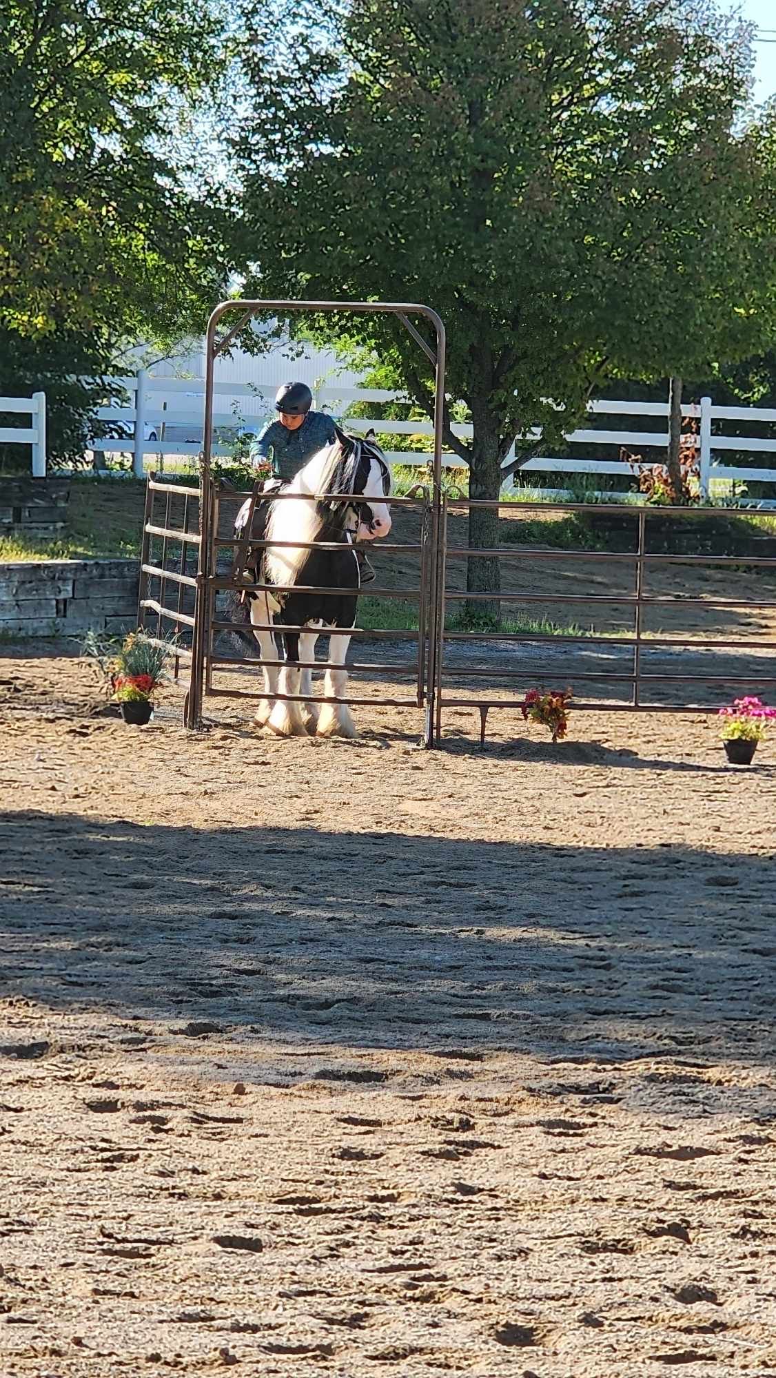 Heart and Hooves Ranch Riding Horse Show @ Northwest Wi Equine Club Hayward, Wisc.