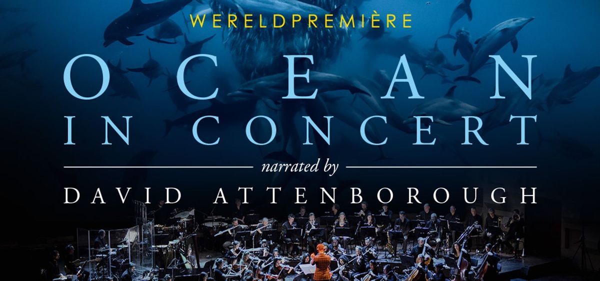 Parking Naples Philharmonic: Mario Venzago - Korngold's Hollywood Concert