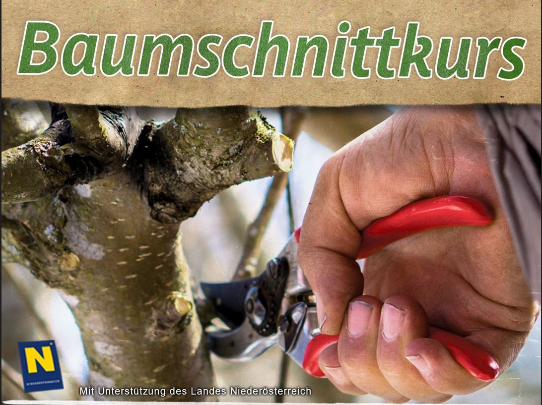 Obstbaumschnittkurs B\u00f6heimkirchen