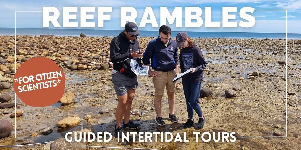 REEF RAMBLES for Citizen Scientists!