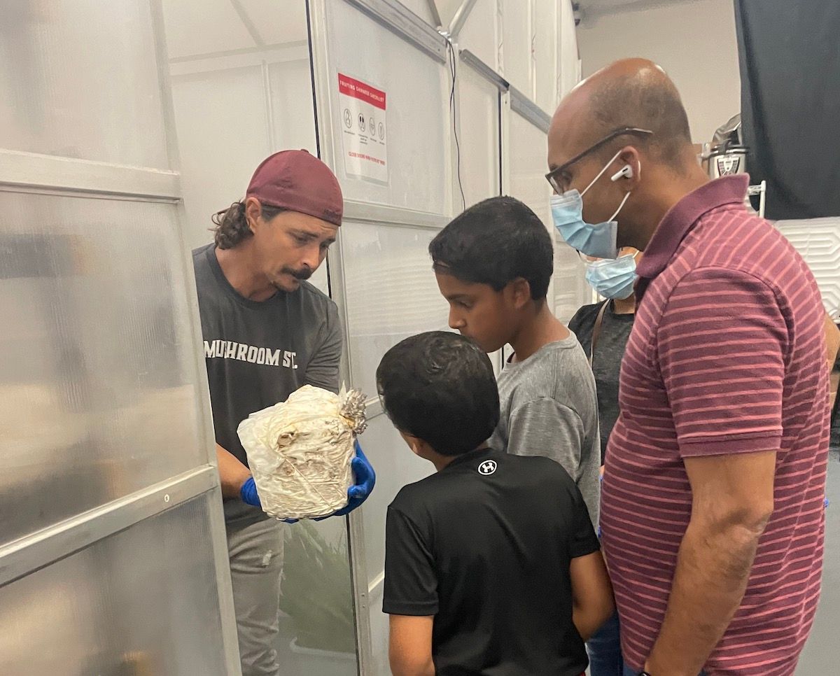 Mushroom Farm Tour for Educators