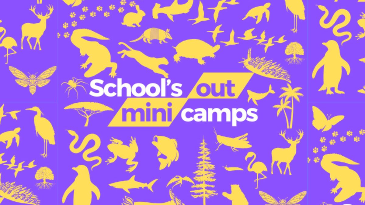 Mini Science Camp: Animal Inspirations