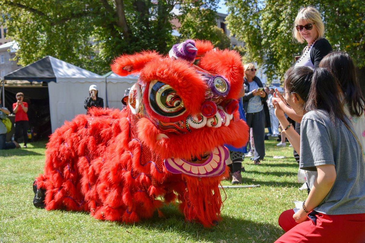 2025 Lunar New Year Festival