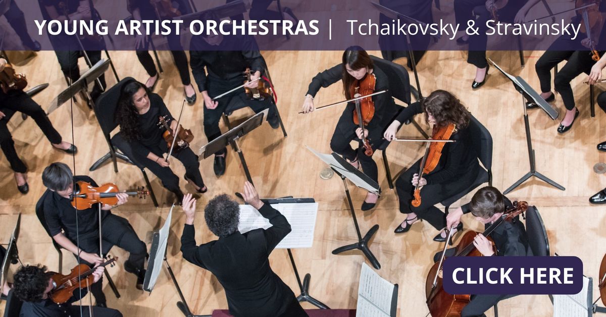 Young Artist Orchestras 3 - Tchaikovsky and Stravinsky