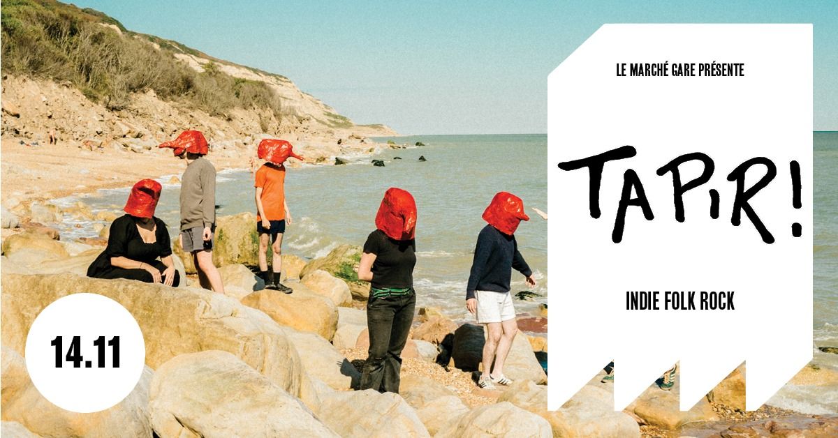 TAPIR! (Indie-Rock Folk \/ UK) \u2022 March\u00e9 Gare LYON