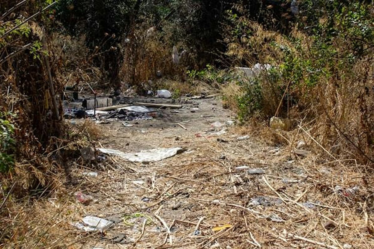 Mid-Week Cleanup on Guadalupe River Park at Service Road along 87 Highway