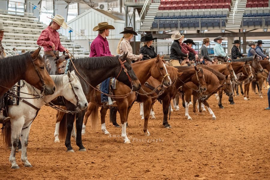 GHQHA Open All Breed Performance & Ranch Show