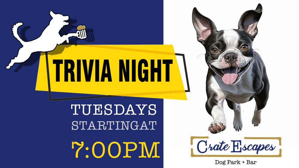 Dog Bar Trivia Night