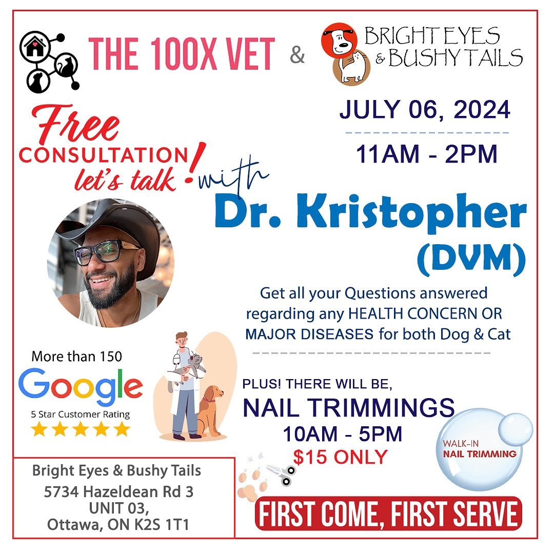 Meet the Vet