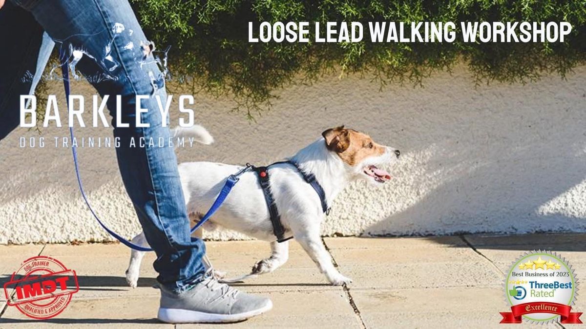 Loose Lead Walking Workshop