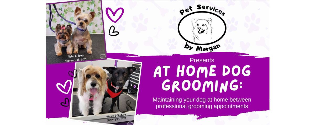 At Home Dog Grooming Seminar