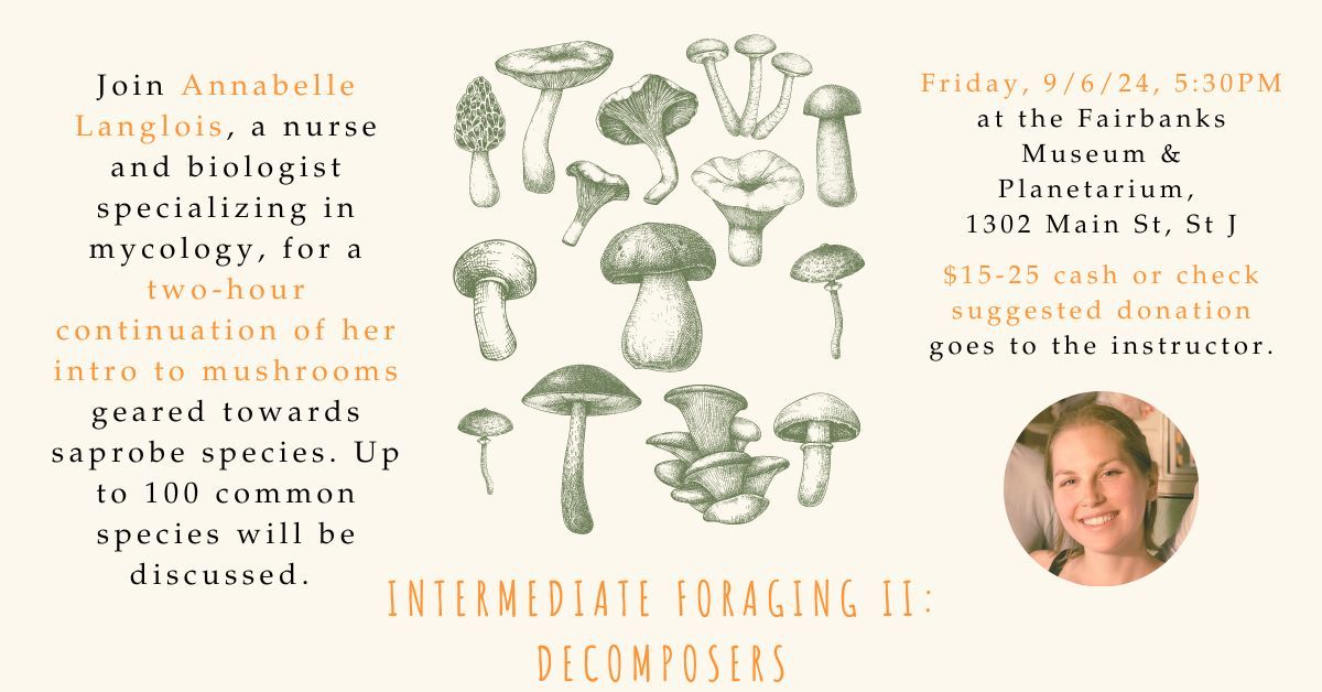 "Intermediate Foraging II: Decomposers" with Annabelle Langlois