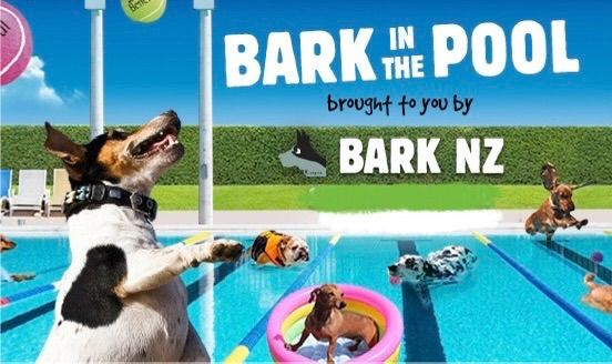 BARK in the POOL 2025