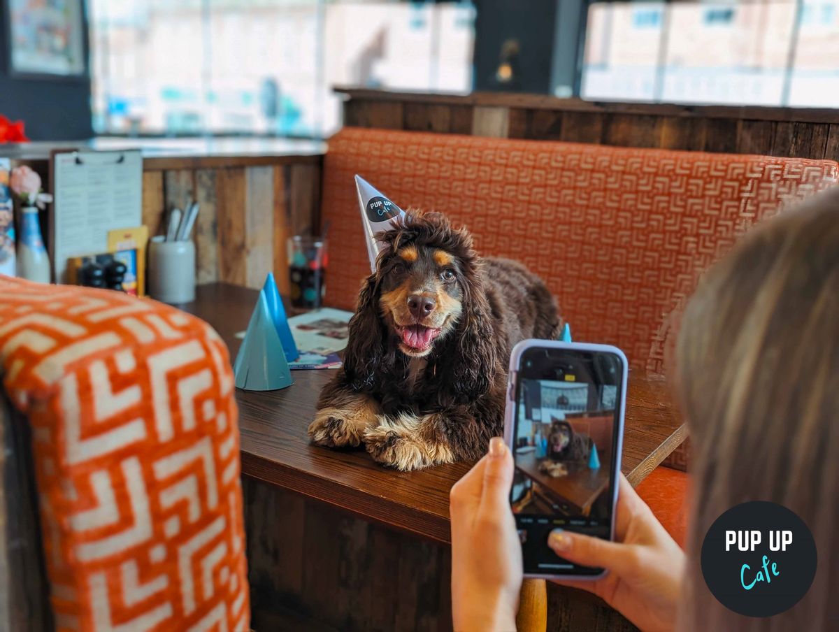 All Paws Welcome Pup Up Cafe - Stafford