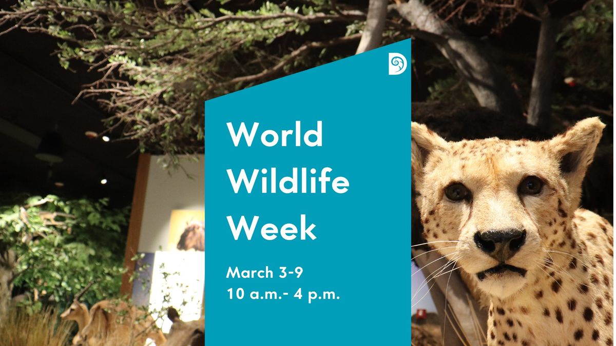 World Wildlife Week