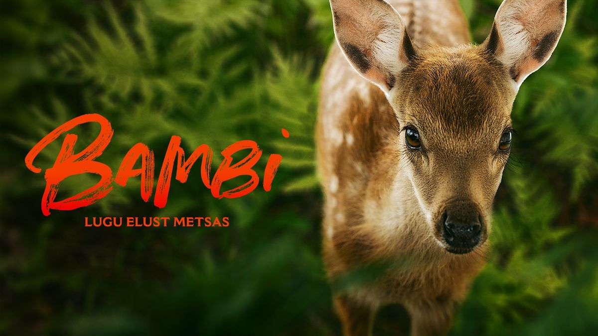 Artise lastehommik: "Bambi. Lugu elust metsas" 