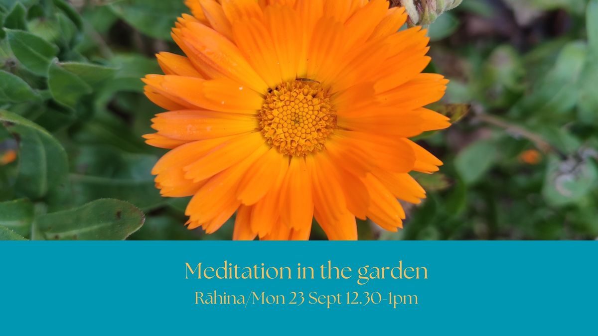 Meditation in the garden