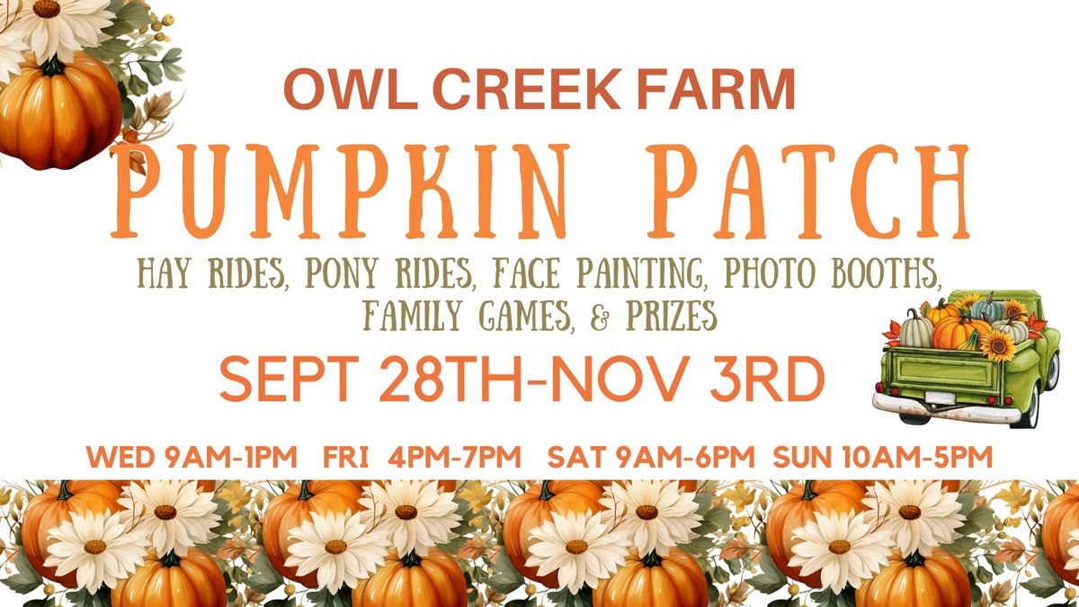 Owl Creek Farm Pumpkin Patch