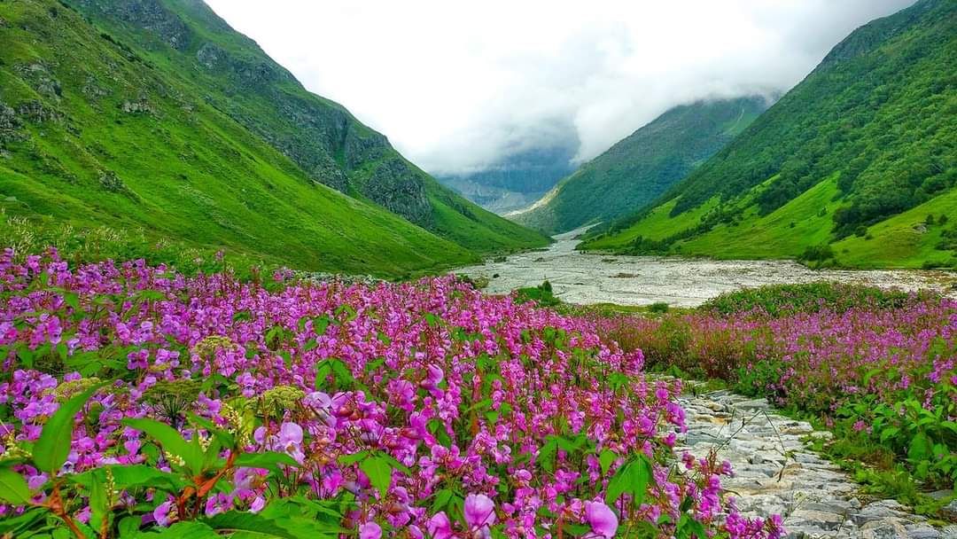 VALLEY OF FLOWERS- HEMKUND SAHIB- BADRINATH