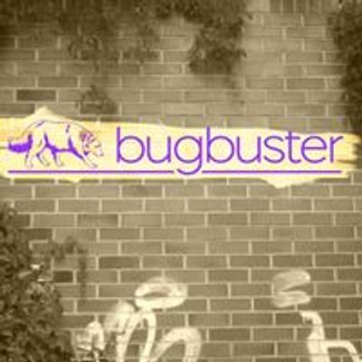 Bugbuster Spuerhunde Training