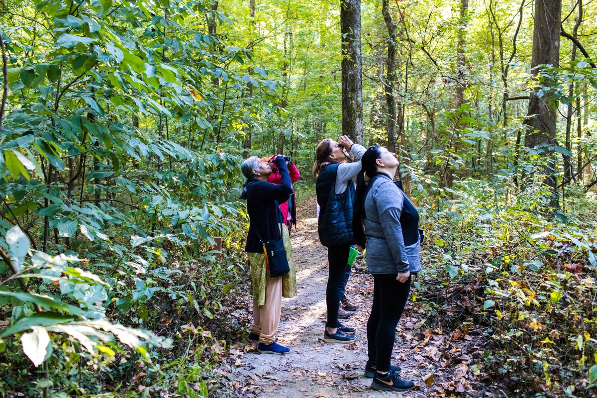 Nature 101 Walks at Overton Park