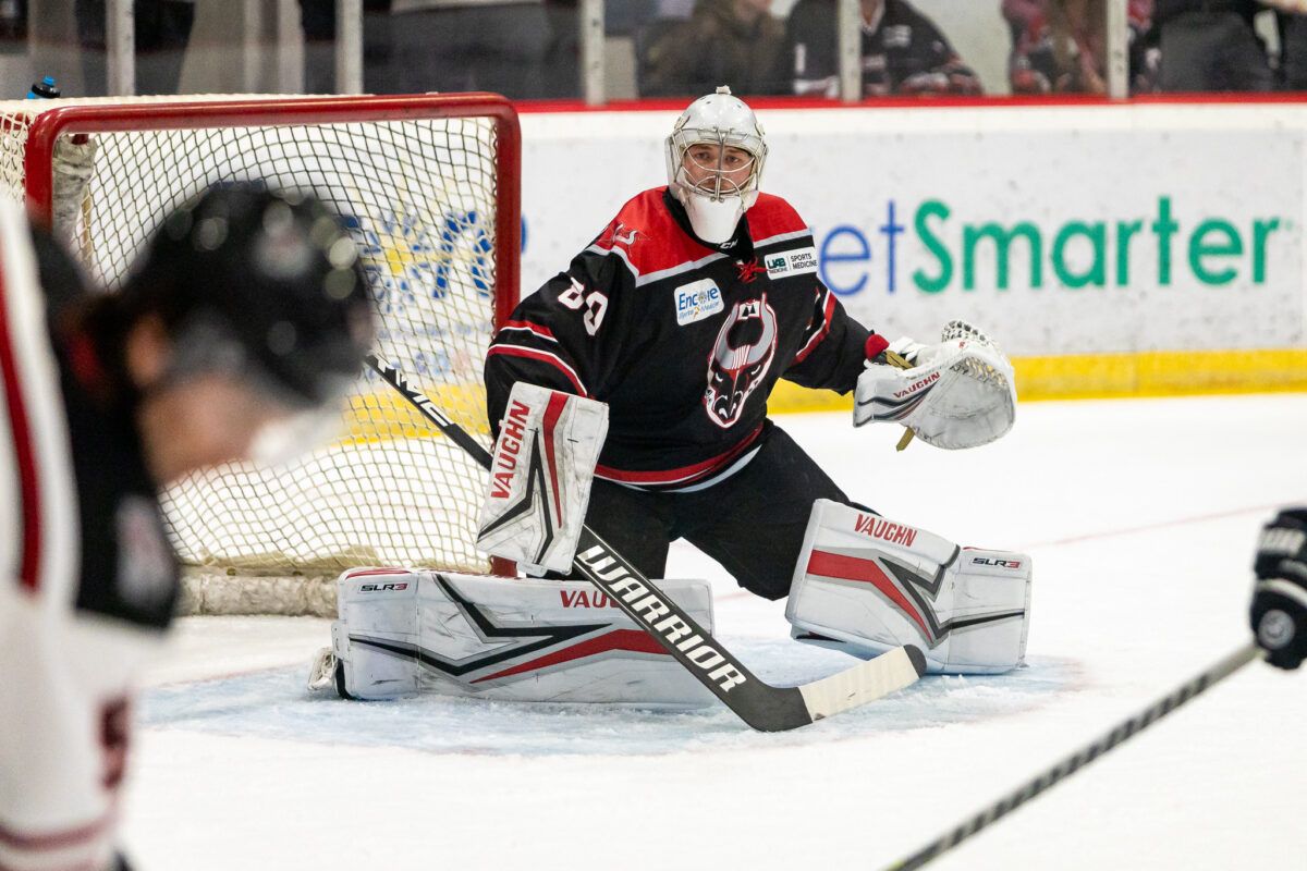 Birmingham Bulls at Peoria Rivermen