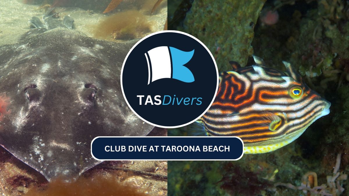 Club Dive at Taroona Beach