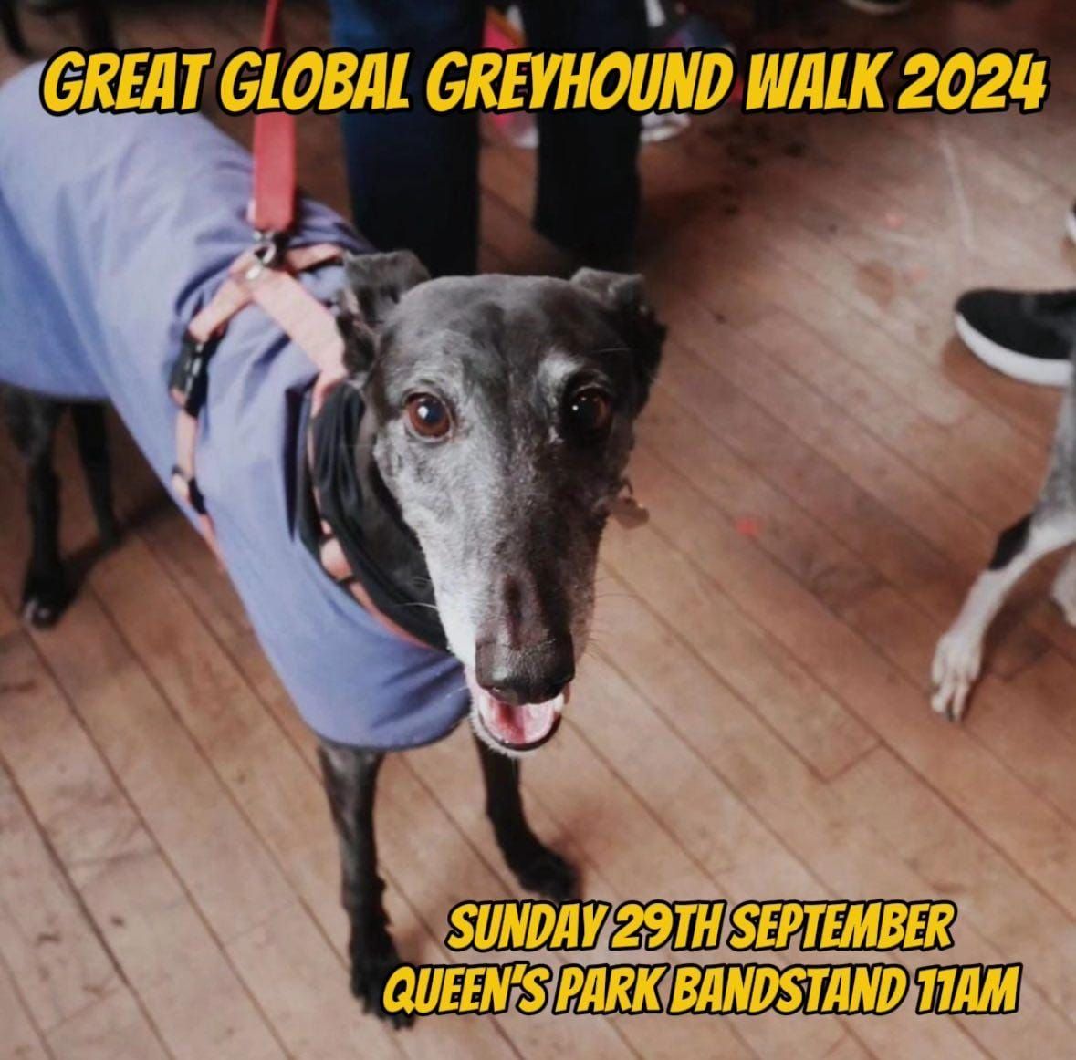 Great Global Greyhound Walk 2024