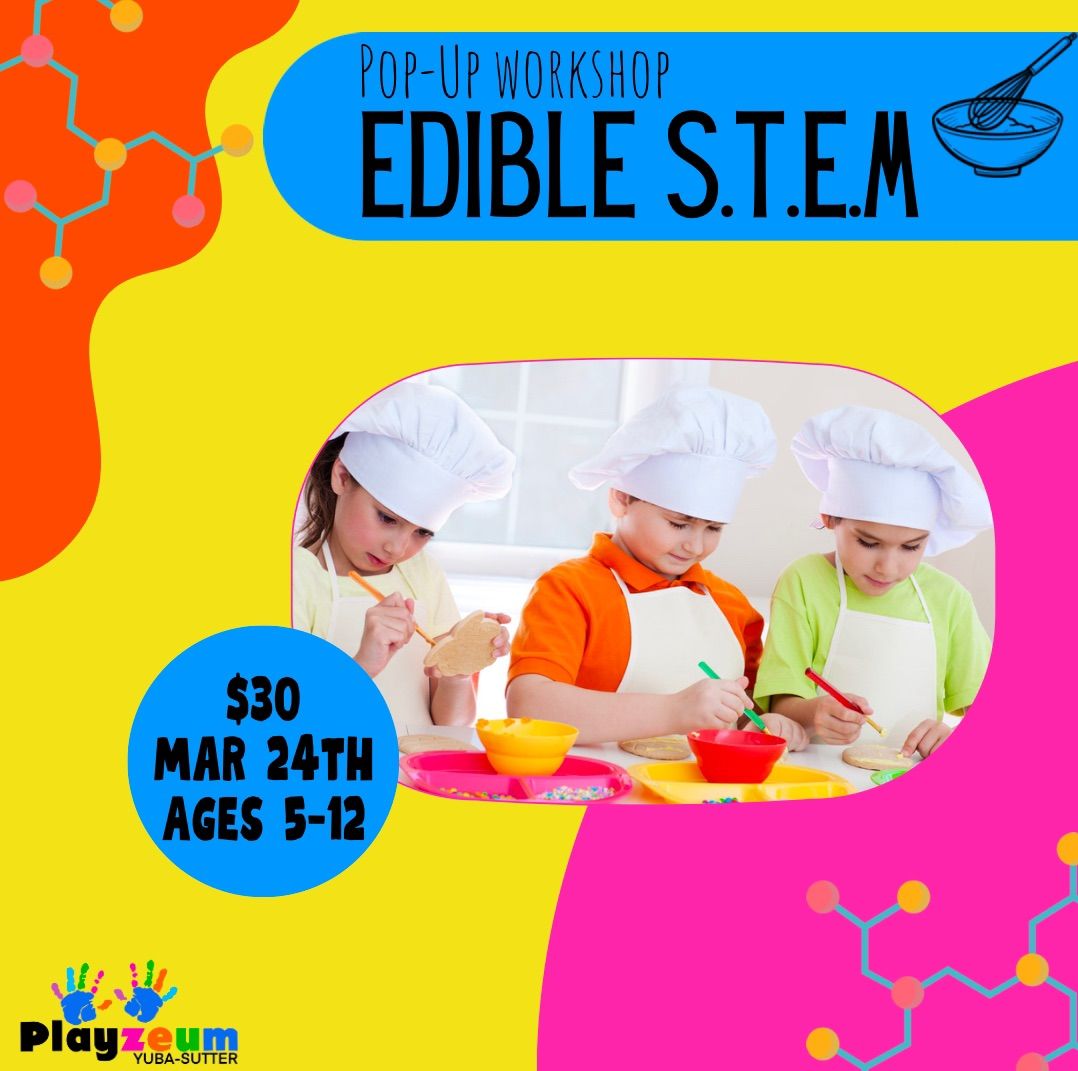 Pop-Up Workshop: Edible S.T.E.M