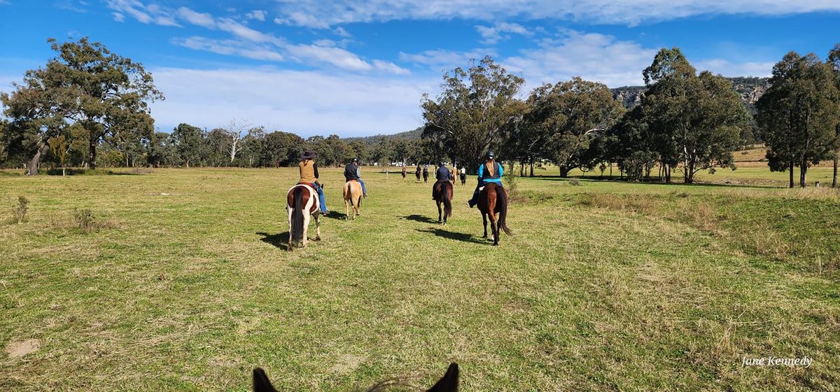 YellowScone Trail Riding\/Confidence Camp!