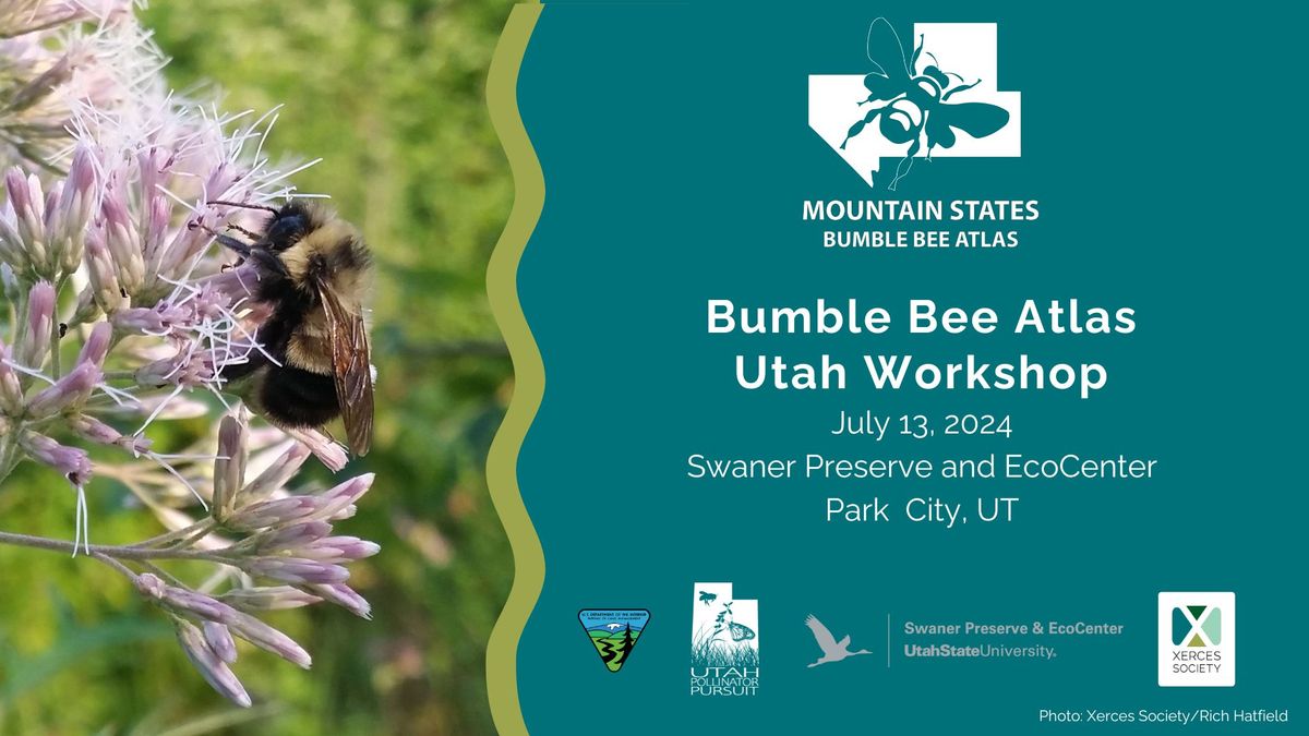 Utah Bumble Bee Atlas Workshop- Park City