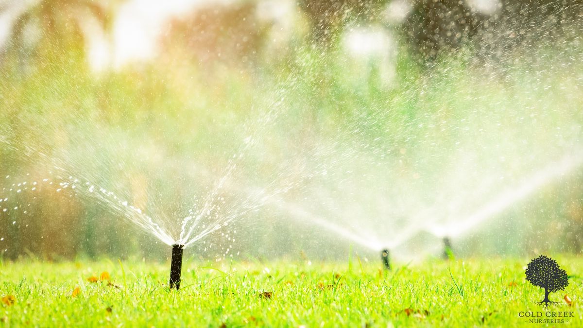 Summer Irrigation Management for Disease & W**d Control
