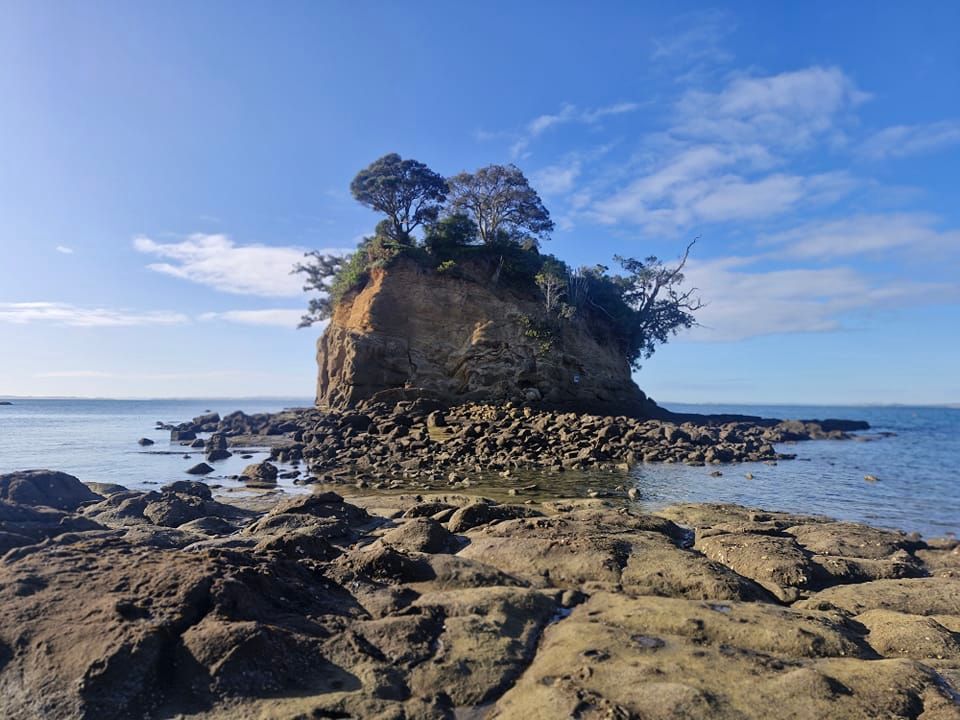 Long Bay regional park walk and shared morning tea