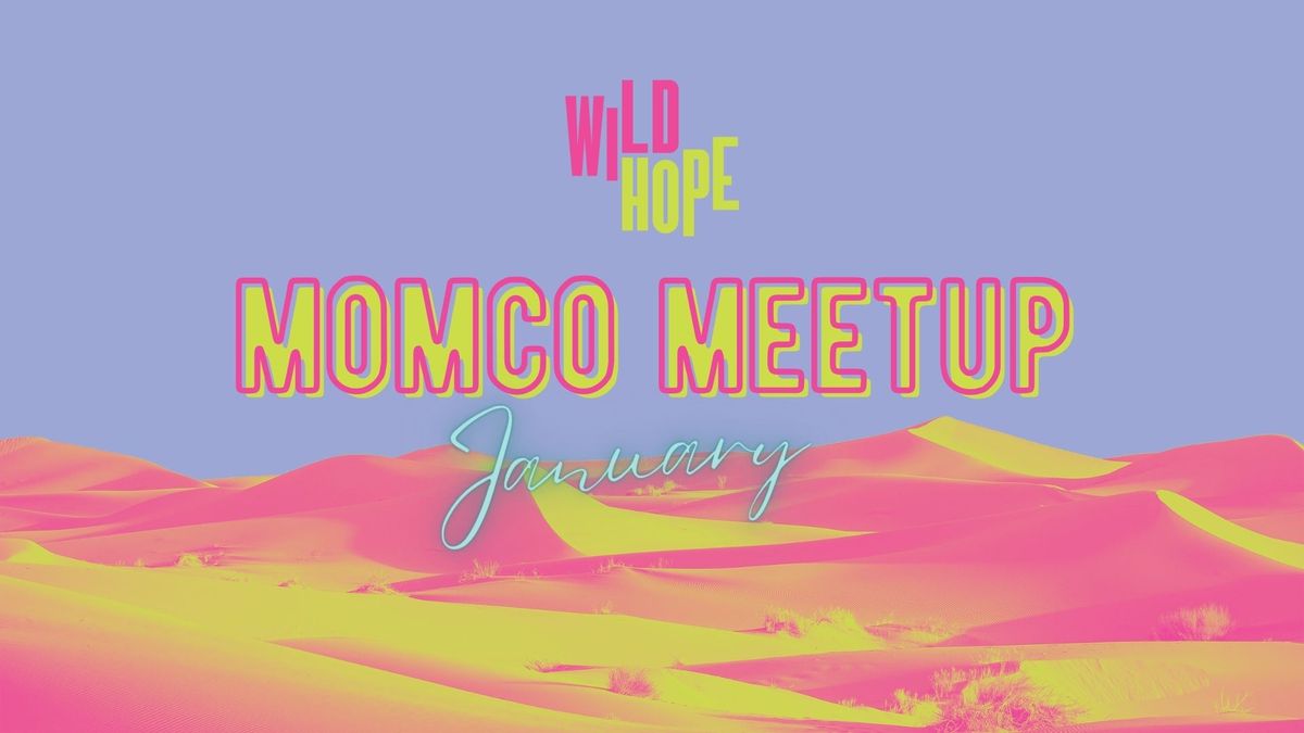 January MomCo Meetup