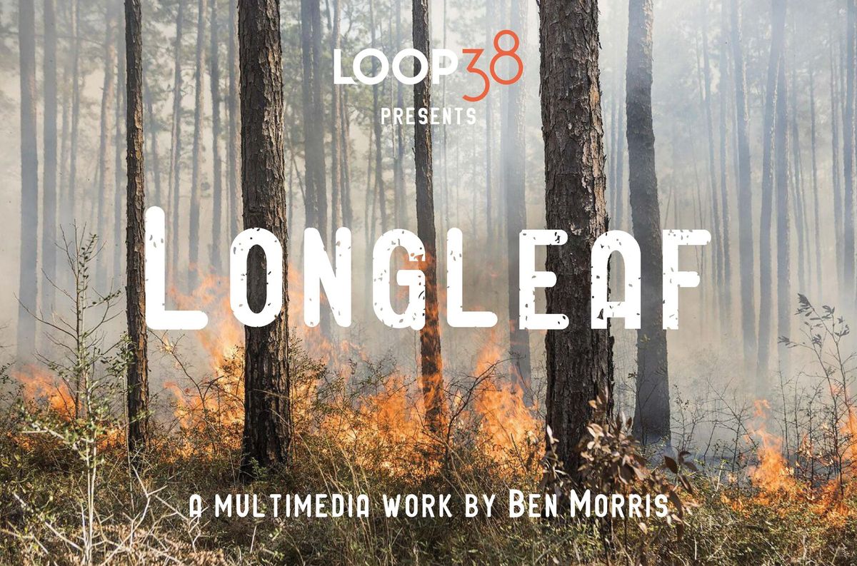 The Longleaf Project