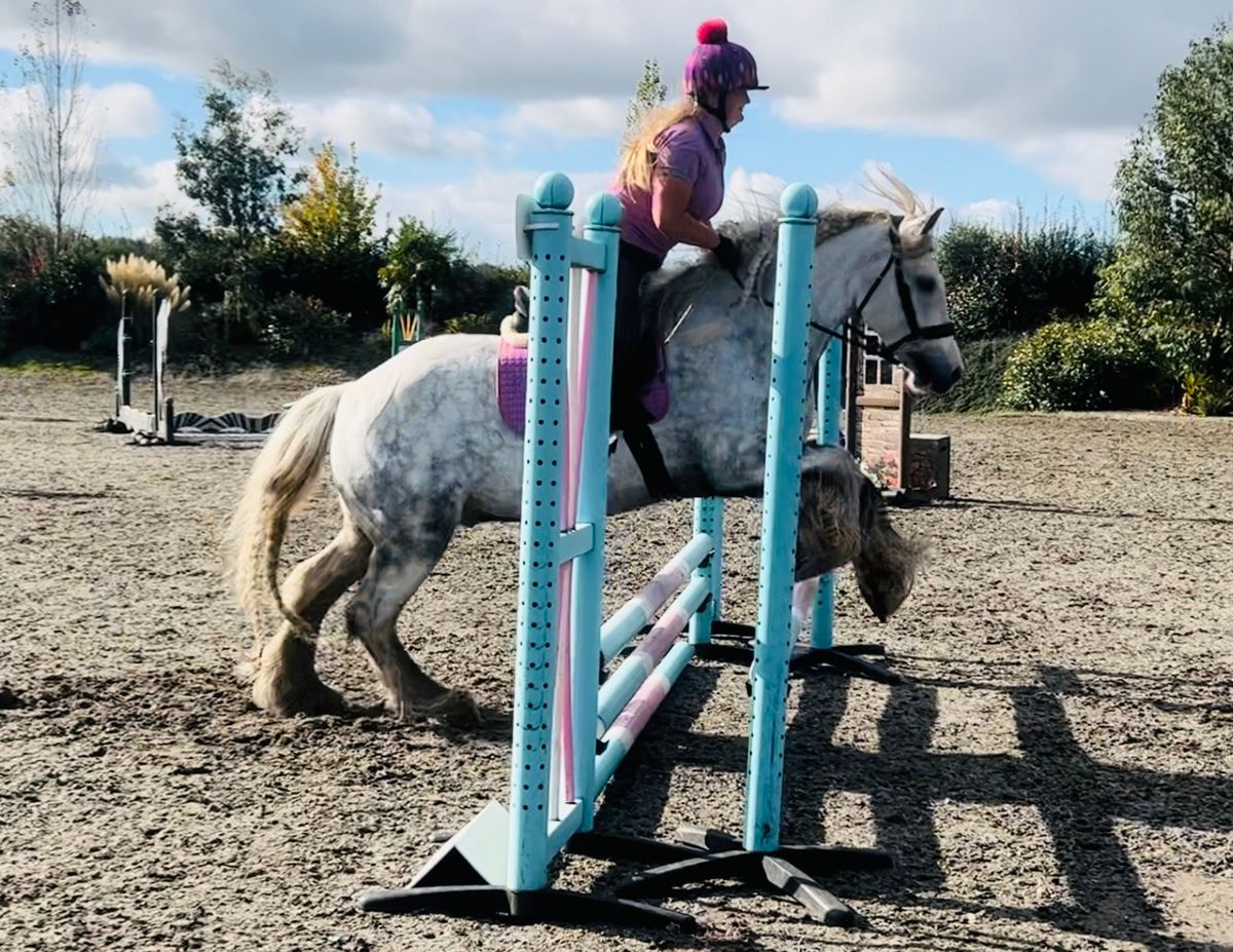 Crofton Show Jumping (indoors)