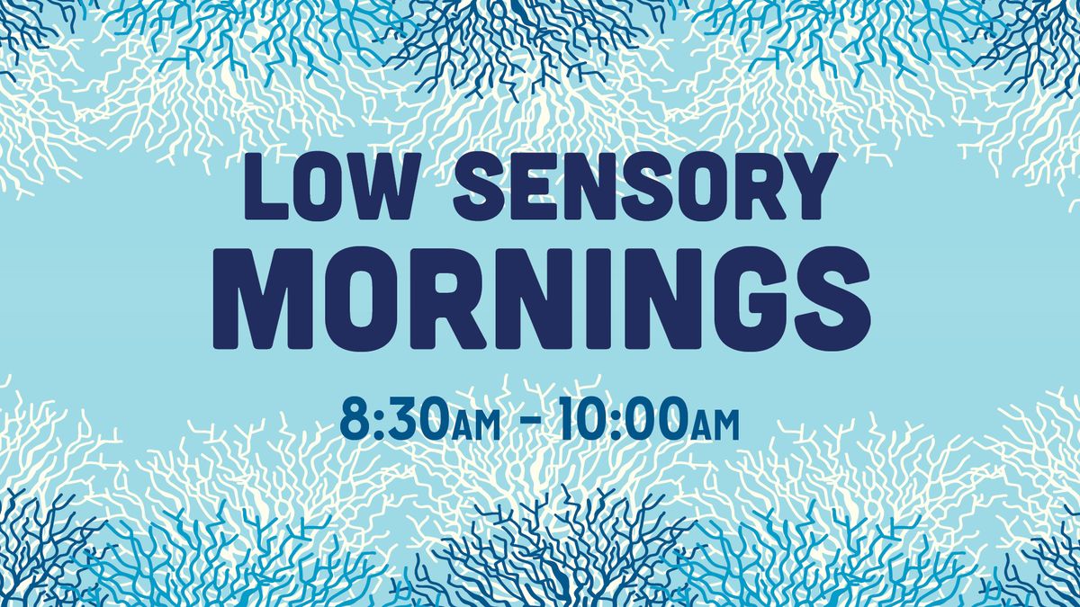 Low Sensory Mornings