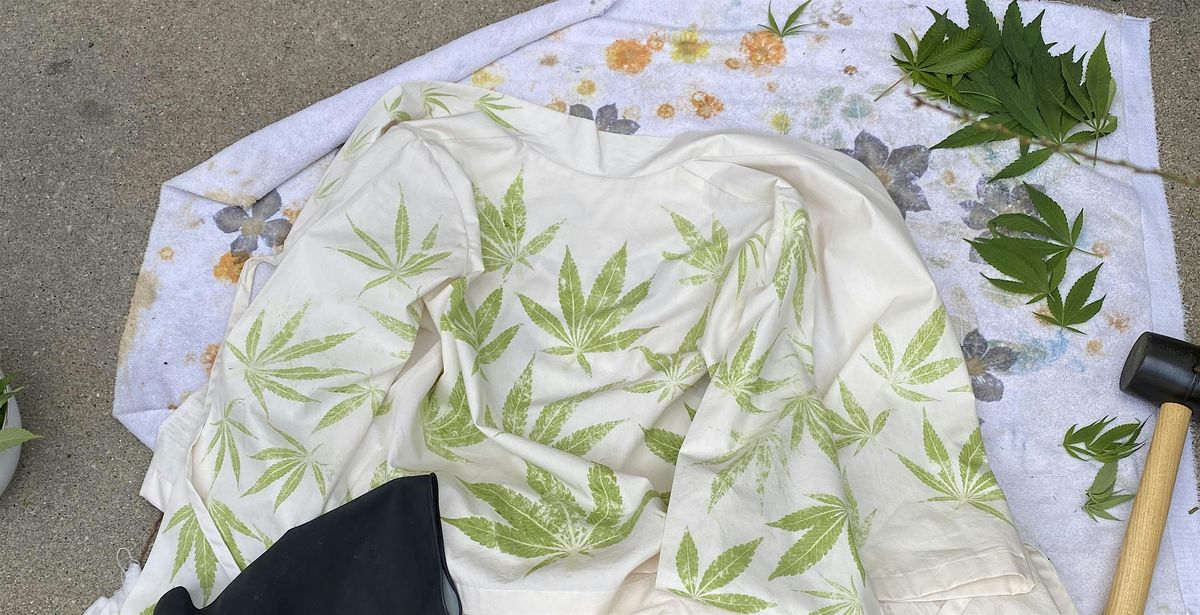 DYE CURIOUS Summer Special (Sunday afternoon cohort)