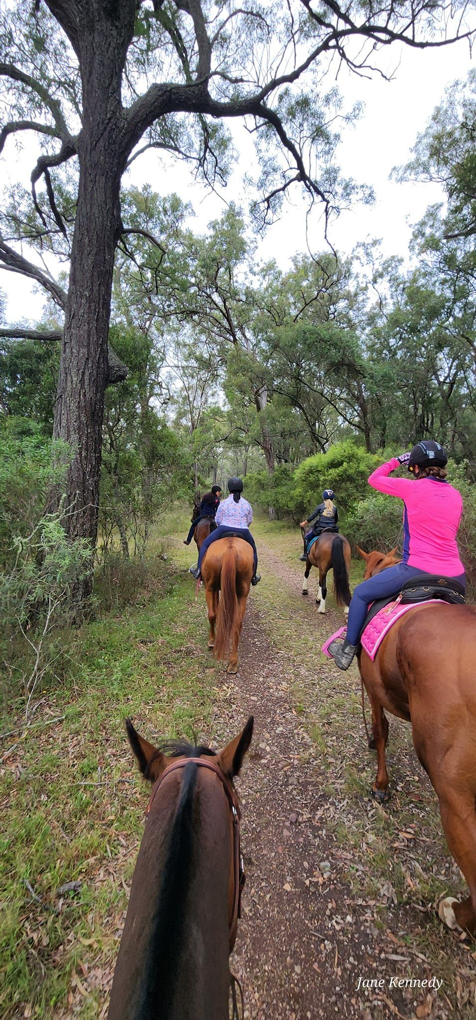 YellowScone Trail Riding\/Confidence Camp!